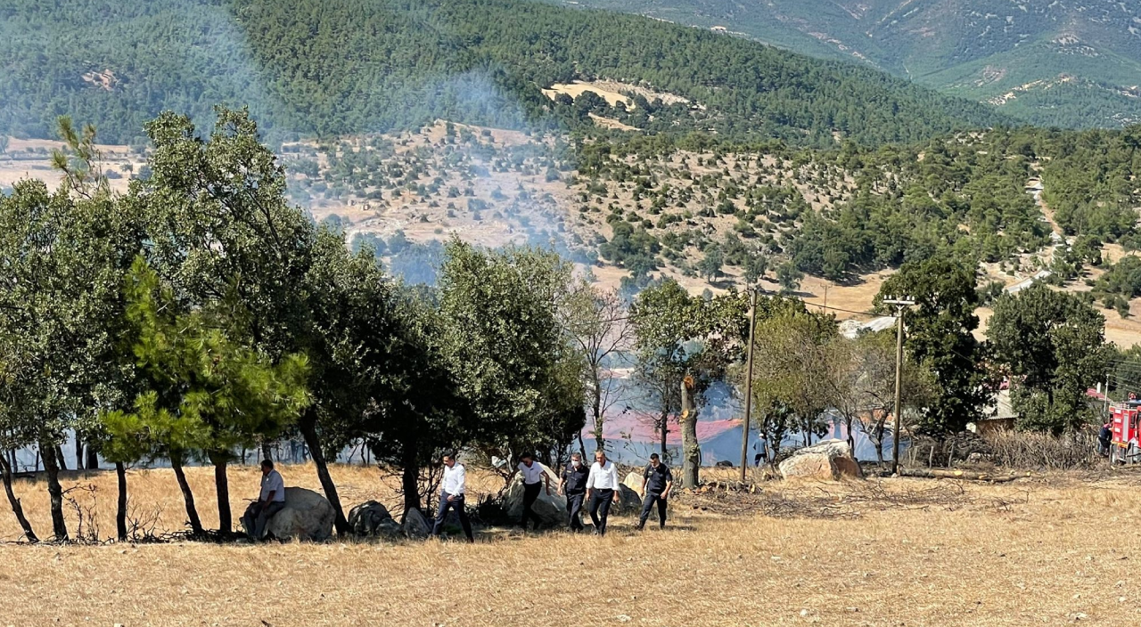 Çanakkale'de orman yangını! Havadan müdahale ediliyor